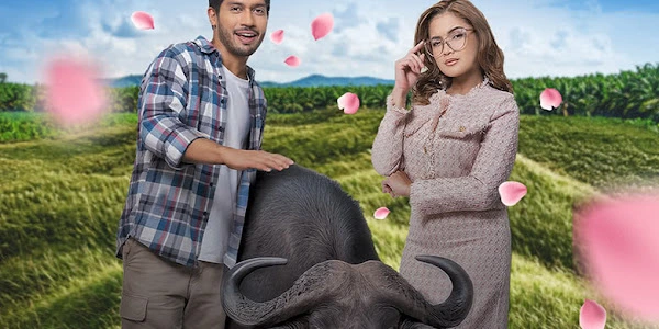 Si Bakhil dengan Bunganya Drama